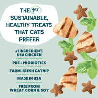2-Pack Catnip N Chill Crunchy Cat Treats - Chicken Made in USA