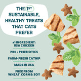 2-Pack Catnip N Chill Crunchy Cat Treats - Chicken Made in USA