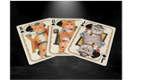 Collectable Bicycle Poker Cats V2 Playing Cards Made in USA