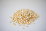 2-Pack 2lb Bag of Baby Amish White Popcorn Made in USA