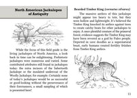 Field Guide to the North American Jackalope Expanded Edition, Made in USA