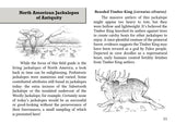 Field Guide to the North American Jackalope Expanded Edition, Made in USA