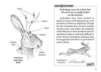 Field Guide to the North American Jackalope Expanded Edition, Made in USA