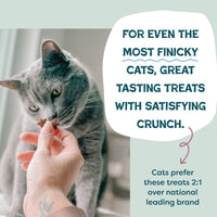 2-Pack Cran U Say Chicken Crunchy Cat Treats Made in USA