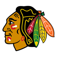 Officially Licensed NHL Hockey Logo Grill Covers (Anaheim Ducks through Chicago Blackhawks))