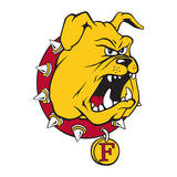 Officially Licensed College Logo Grill Covers (East Carolina thru Florida St.)