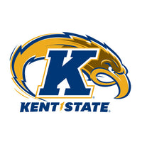 Officially Licensed College Logo Grill Covers (Iowa thru Kent State)