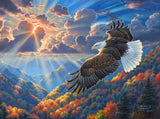 Beautiful Freedom 1000 pc Puzzle 0808 Made in USA