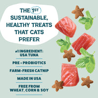 2-Pack Catnip N Chill (fka Fintastic Catnip) Crunchy Cat Treats - Tuna, Made in USA