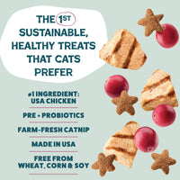 2-Pack Cran U Say Chicken Crunchy Cat Treats Made in USA