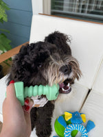 Dog Toy - The Bolt - MADE IN THE USA