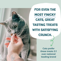 2-Pack Catnip N Chill Crunchy Cat Treats - Chicken Made in USA