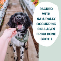 2-Pack of Bacon Hits Different Bone Broth Dog Training Treats Made in USA