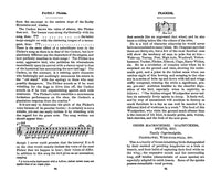 Field Book of Wild Birds and Their Music