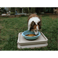 No Longer Produced: AntBlocker Ant Free Pet Feeding Tray USA Made